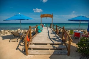 Cozumel: Downtown, Shopping & Beach Break