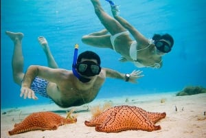 Cozumel: El Cielo Charter Privado en Catamarán con Snorkel