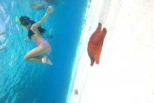 Cozumel: the starfish sanctuary sky