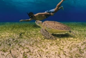 Cozumel: El Cielo Snorkel Tour with Lunch on Board