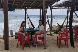 Cozumel: Island Bar Tour with Lunch