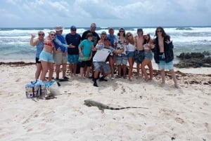 Cozumel: Island Bar Tour with Lunch