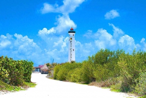 Cozumel Island: Half-Day Private Jeep Tour and Eco Park