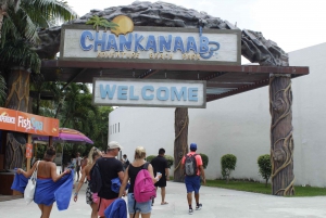 Cozumel: Jeep Adventure and Beach Snorkeling with Lunch