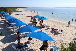 Cozumel: Jeep Adventure and Beach Snorkeling with Lunch
