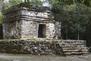 Cozumel: Excursión en jeep por las ruinas de San Gervasio