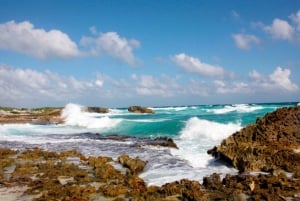 Cozumel: Excursión en jeep por las ruinas de San Gervasio