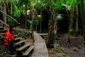 Cozumel Jungle 3.5-hour X-rail to Jade Caverns