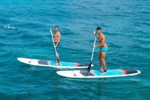 Navegación y snorkel de lujo en Cozumel