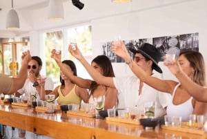 Cozumel: Mixology Experience with Rum and Gin Tasting