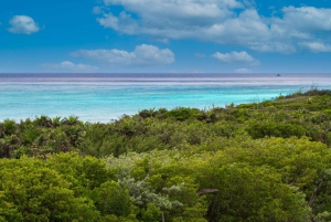 Cozumel: North Shore E-Bike Adventure & Beach Break