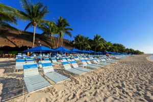 Cozumel: Paradise Beach Exclusive All Inclusive Day Pass