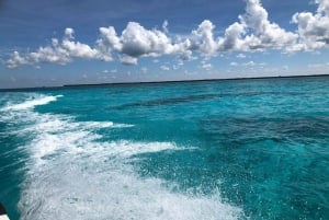 Cozumel, Passion Island: 4-Hour Private Tour