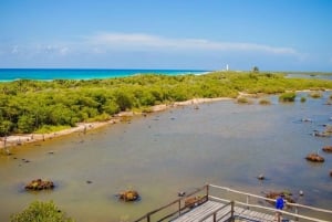 Cozumel: Private Buggy Tour to Punta Sur Park All Inclusive