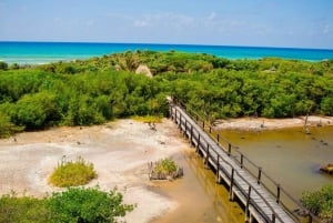 Cozumel: Private Buggy Tour to Punta Sur Park All Inclusive