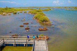 Cozumel: Private Buggy Tour to Punta Sur Park All Inclusive