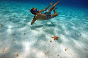 Cozumel: Private Charter Boat and Snorkel Day Trip