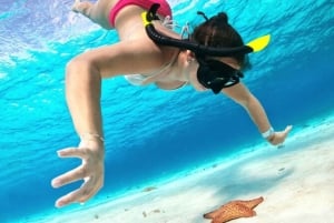 Cozumel: Private Snorkeling and Charter Experience