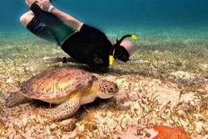 Cozumel: Private Snorkeling and Charter Experience