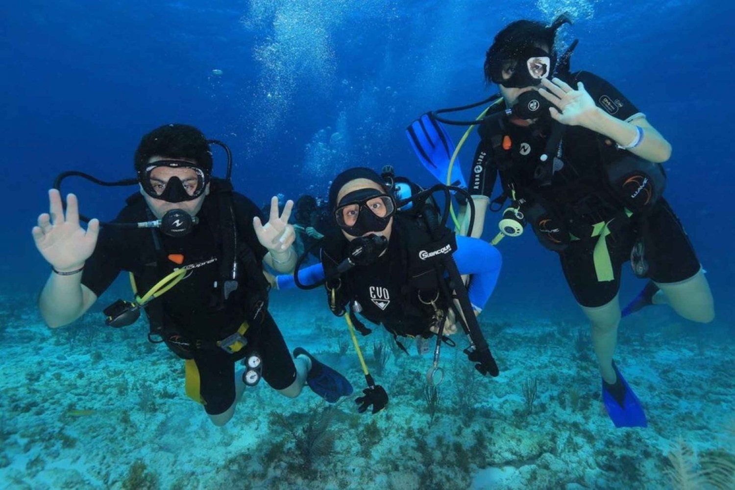 Cozumel: Shipwreck and Reef Dive with Lunch