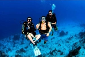 Cozumel: Shipwreck and Reef Dive with Lunch