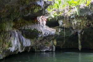 Cozumel Shore Excursion: ATV to Jade Cavern & Beach Club