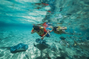 Cozumel: Snorkel and Swim with Stingrays