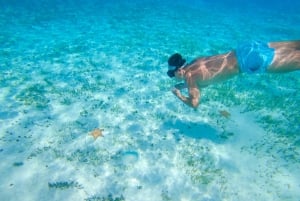 Cozumel: Snorkel By Catamaran, El Cielo Bay And Beach