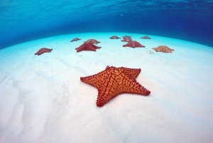 Cozumel: Snorkel Tour, El Cielo Bay & Playa Mia Beach Day