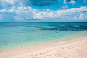 Cozumel: Snorkel Tour, El Cielo Bay & Playa Mia Beach Day