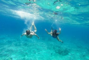 Cozumel: Excursión de snorkel a El Cielo, Palancar y Arrecife Colombia