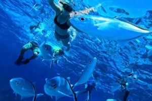 Cozumel: snorkeling in reefs + visit to 'El cielo'.