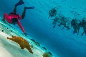 Cozumel: snorkeling in reefs + visit to 'El cielo'.