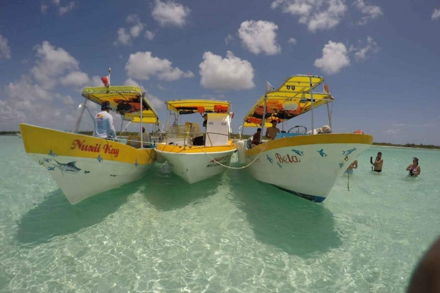 Cozumel: Excursión de snorkel con visita al arrecife Cielo Estrellas