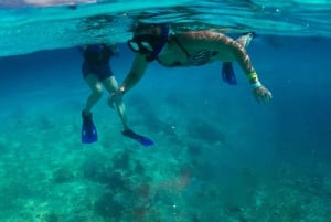 Esnórquel en lancha motora con estrellas de mar y arrecifes tropicales de Cozumel