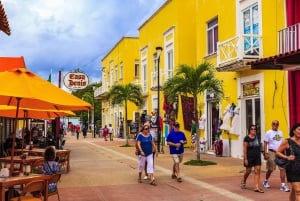 Esnórquel en lancha motora con estrellas de mar y arrecifes tropicales de Cozumel