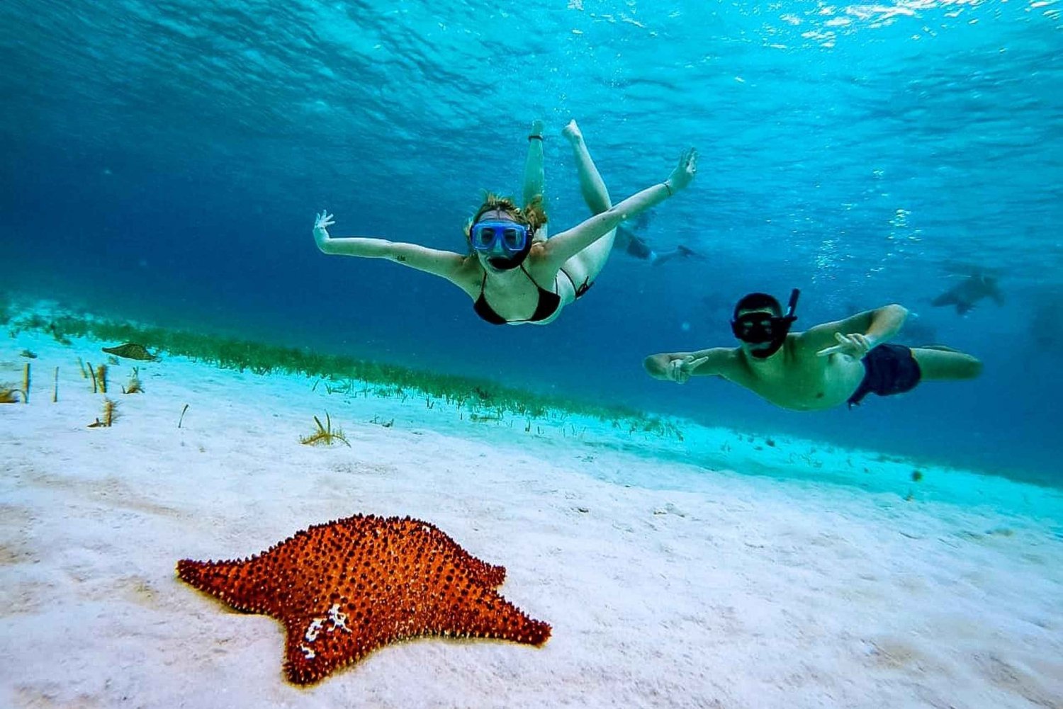 Cozumel: Estrellas de mar, rayas y esnórquel en El Cielo