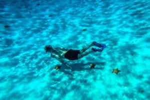 Cozumel: Estrellas de mar, rayas y esnórquel en El Cielo