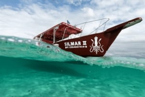 Cozumel: Tour to the sky, palancar and colombia by traditional speedboat