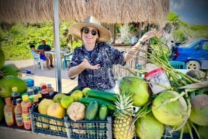 Cozumel: Ultimate Combo: Mayan Ruins, Bee Farm & Snorkeling