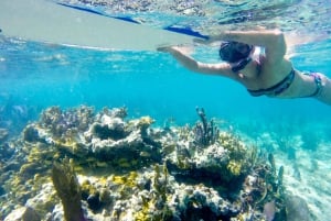 Cozumel: West Coast E-Bike and Snorkeling Tour