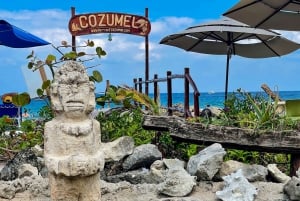 Cozumel: West Coast E-Bike and Snorkeling Tour