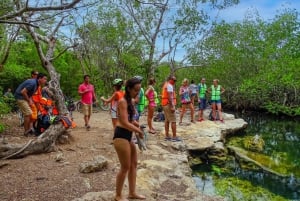 Cozumel: West Coast E-Bike and Snorkeling Tour