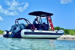 Cozumel: Zodiac Pro RIB Explorer Boat Tour