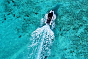 Cozumel: Zodiac Pro RIB Explorer Boat Tour