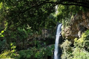 Mexico City: Raft to Rushing Waters and Visit Cuernavaca