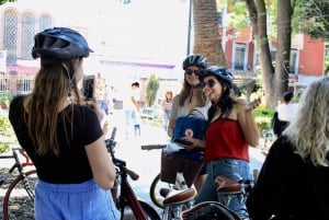 Cultural Ride: Historic center & Highlights of Mexico City