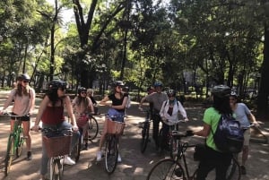 Cultural Ride: Historic center & Highlights of Mexico City