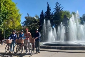 Cultural Ride: Historic center & Highlights of Mexico City