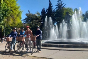 Cultural Ride: Historic center & Highlights of Mexico City